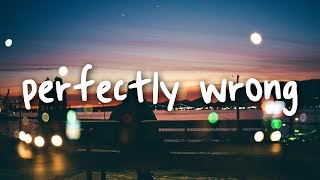 shawn mendes  perfectly wrong  lyrics [upl. by Lacy]