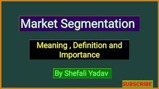 Market Segmentation  Meaning  Definition and Importance [upl. by Annerahs]