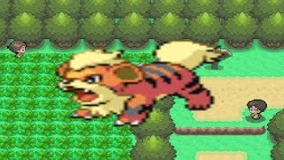 How to find Growlithe in Pokemon Diamond and Pearl [upl. by Elaen]