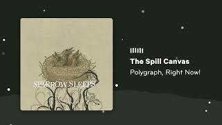 The Spill Canvas  Polygraph Right Now Lullaby cover by Sparrow Sleeps [upl. by Jordanna]