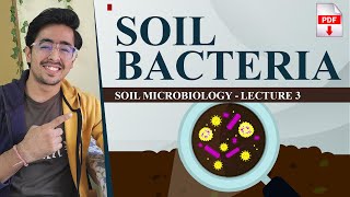 Soil Bacteria important facts and Classifications  soil biology lecture 3 [upl. by Rasure556]