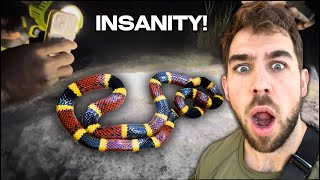 Did we find the most Venomous Snake in Austin Texas [upl. by Akemat]