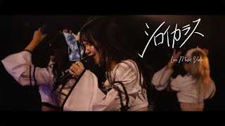 SAZANAMi Λug『シロイカラス』Official Live Music Video  2nd Anniversary ONEMAN Live Movie Ver [upl. by Eerrahs322]