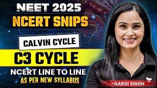 Calvin Cycle  C3 Cycle  NCERT Line to Line  As Per New Syllabus  NEET 2025 Biology  Gargi Singh [upl. by Ninazan]