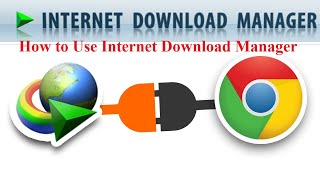 How to Download Files Using Internet Download Manager IDM [upl. by Debbi]