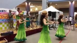 Papalina Lahilahi ukulele amp hula dance friendship festival [upl. by Allys631]