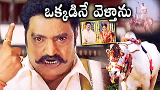 Nandamuri Harikrishna Interesting Scene  Tiger Harischandra Prasad Movie Scenes  Cine Square [upl. by Ahsiekel]