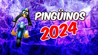 Pingüinos 2024  La MAYOR concentración MOTERA del MUNDO [upl. by Horner407]