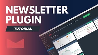 Kostenloses Newsletter Plugin für WordPress  Plugin TUTORIAL [upl. by Timoteo]