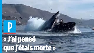 EtatsUnis  deux kayakistes « avalées » par une baleine [upl. by Bodkin]