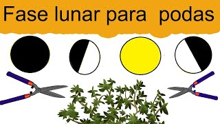 Fases lunares para podar  En que fase de la luna se puede podar 🌙 [upl. by Paz711]