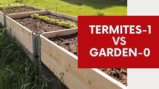 Termites Destroyed my Garden Beds [upl. by Zoie]