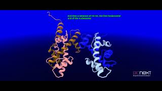 Structural Annotation of a Nucleosome [upl. by Ynettirb192]