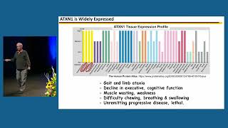 KEYNOTE LECTURE CAG Triplet Repeat Disorders  EHDN2024 Day 2 [upl. by Otrebilif]