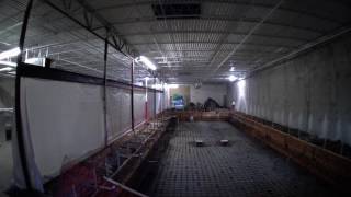 Goldfish Swim School  Winter Park  Construction Time Lapse [upl. by Ardnaek]