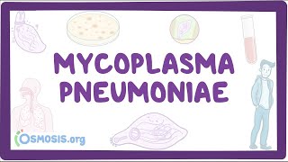 Mycoplasma pneumoniae  an Osmosis Preview [upl. by Takakura729]