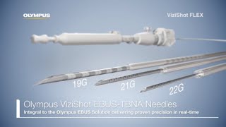 ViziShot Flex 19 G EBUSTBNA Needle Animation  Olympus Bronchoscopy [upl. by Karlan260]