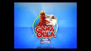 RD Dona Gallina Centros de Canje Gana Olla 2013 [upl. by Liemaj]