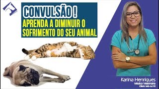 Convulsão Aprenda a diminuir o sofrimento do seu animal  Auxiliar de Veterinário  Micronet [upl. by Eyeleen]