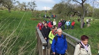 RZWandertag Streuobstwiesenweg im 360GradVideo 2 [upl. by Zitah836]