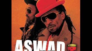 Aswad  Roots Rockin 2 2009 [upl. by Aldas979]