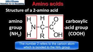 B2 Amino acids  structure and bonding SL [upl. by Nej]