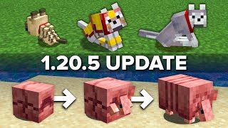 Minecraft 1205 Update Explained in 5 Minutes [upl. by Renny]