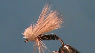 Fly Tying an Olive Pheasant Tail Caddis with Jim Misiura [upl. by Illehs437]