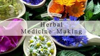 Herbal Medicine Making [upl. by Ynneh]