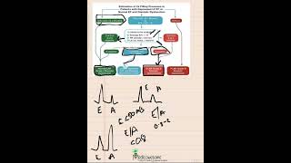 LV diastolic dysfunction algorithm mnemonic part 2 patients with depressed LVEF or suspected dx dysf [upl. by Bigford580]