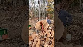 Eastonmade 37D Extra Tall 4Way Wedge Splitting Massive Oak eastonmade firewood smallbusiness [upl. by Nnaylloh]