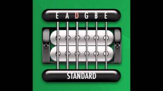 Perfect Guitar Tuner E Standard  E A D G B E [upl. by Ojybbob691]