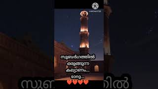 Madh song newhabitvlogs malayalam [upl. by Bigford589]