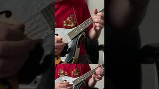 Nirvana quotPennyroyal Teaquot guitar solo on mandolin [upl. by Millwater787]