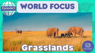 Grasslands  World Focus for Kindergarten  EYFS  Episode 9 [upl. by Mala]