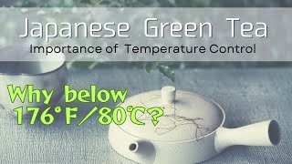 How to make tasty Japanese Green Tea Feel Umami to the fullest [upl. by Adel]