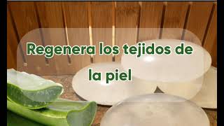 Algunos BENEFICIOS del jabón de SÁBILA aloe vera [upl. by Inneg]