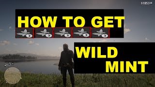 Red Dead redemption 2 Great Blue Heron Location 3 star [upl. by Ayamat]