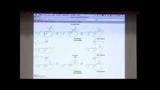 Kevin Aherns BiteSized Biochemistry 12 Catalytic Mechanisms [upl. by Lessur]