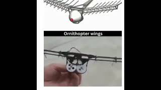 SIMPLE ROBOTIC BIRD Ornithopter FlappingWings BioInspiredFlight AeroDynamics DIYFlyingMachine [upl. by Lindsay]