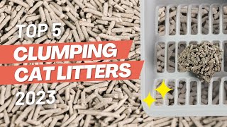 Top 5 BEST Clumping Cat Litter Brands 2023 [upl. by Marley]