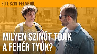 🐔Milyen színűt tojik a fehér tyúk  ELTE SZINTFELMÉRŐ [upl. by Sacrod]