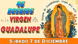 46 Rosarios a la Santísima Virgen de Guadalupe Sábado 7 de Diciembre Dia 41🌷Misterios Gozosos🌷 [upl. by Eixid926]