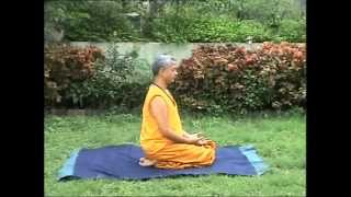 Yoga Episode 26  Sarvangasana  Yogacharya Avneesh Tiwari [upl. by Birecree]