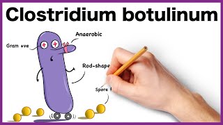 Clostridium botulinum Simplified Morphology Pathogenesis Types Clinical features [upl. by Bortman]