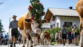 Mittenwald Kruen und Wallgau  Deutsche Kulturfest  Oktoberfest 2024  Janu German [upl. by Korry]