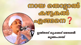 നായ തൊട്ടാൽ കഴുകൽ എങ്ങനെ❓️ അവതരണം ഉസ്താദ് മുഹമ്മദ്‌ ബാഖവി മുണ്ടംപറമ്പ് [upl. by Norty]