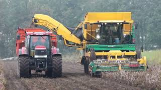 Ploeger AR4BX mit Case 225 Gespann DAF LKW Fendt in den Kartoffeln [upl. by Ailev808]