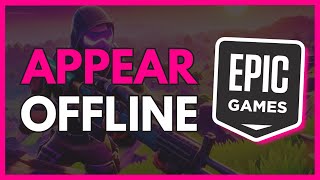 How to Appear Offline in Epic Games  Epic Games Tutorial [upl. by Nwotna]