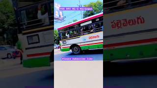 TGS RTC WL2 Warangal folk viralvideo tsrtc automobile driver trending [upl. by Haiacim]